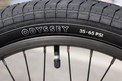 Sunday Scout (Gloss Maroon with 21" tt)