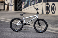 Sunday Blueprint (Gloss White with 20.5" tt)