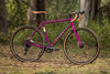 Fairdale Weekender Nomad (Gloss Berry in XS-XL)