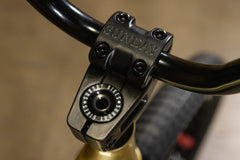 Sunday Wavelength - Gary Young Signature (Matte Gold Metallic with 21" tt in RHD/LHD)